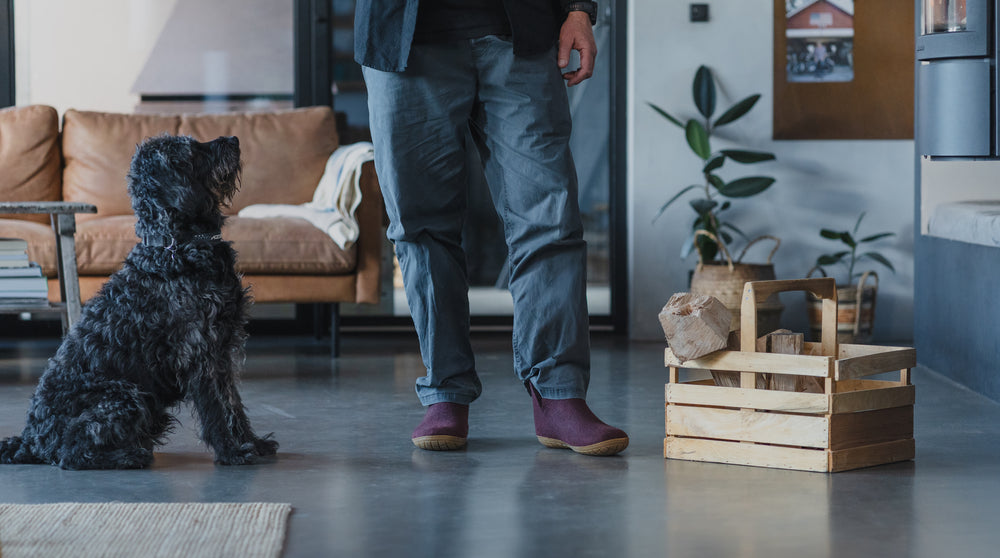 NYHETER TIL DET NYE ÅRET